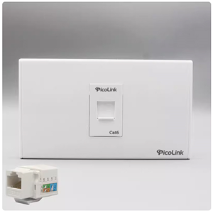 Bộ Wallplate mạng 1 cổng Cat6 ( 1 Mặt + 1 Nhân )