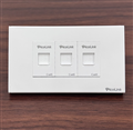 Bộ Wallplate mạng, thoại 3 cổng Cat6 ( 1 Mặt + 3 Nhân ) PLMT19103