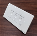 Bộ Wallplate mạng, thoại 3 cổng Cat6 ( 1 Mặt + 3 Nhân ) PLMT19103
