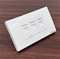 Bộ Wallplate mạng, thoại 3 cổng Cat6 ( 1 Mặt + 3 Nhân ) PLMT19103