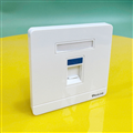 Mặt hình vuông 1 cổng, Mặt Wallplate 1 cổng Picolink PL-MV191-01