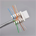 Nhân Mạng RJ45 Cat6, Modul Rack Cat6 PicoLink PL-19166-0