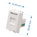 Nhân Mạng RJ45 Cat6, Modul Rack Cat6 PicoLink PL-19166-KT