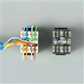Nhân Mạng RJ45 Cat6, Modul Rack Cat6 PicoLink PL-19199