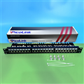 Patch Panel PicoLink CAT6A 24 Port  Chính Hãng P/N: PL-S1U24 -C6A