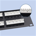 Patch Panel RJ11 Cat3 50port Chính hãng PicoLink PL-S1U50-C3U