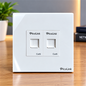 Bộ nhân mặt vuông 2 cổng Picolink PL-M191-02V-19166