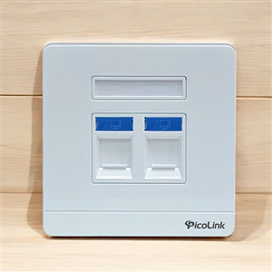 Mặt hình vuông 2 cổng, Mặt Wallplate 2 cổng Picolink PL-MV191-02