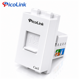 Nhân Mạng RJ45 Cat5, Modul Rack Cat5 PicoLink PL-19155